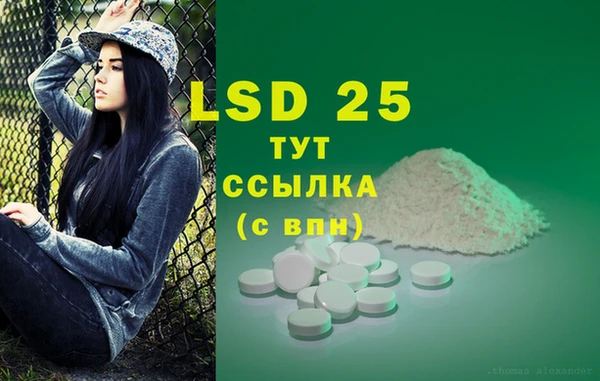 spice Алексеевка