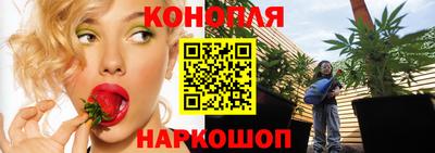 mdpv Лесосибирск