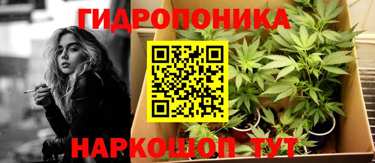 Каннабис OG Kush  Бошки марихуана сатива  МАРИХУАНА LSD WEED  Вход с VPN  Нурлат 